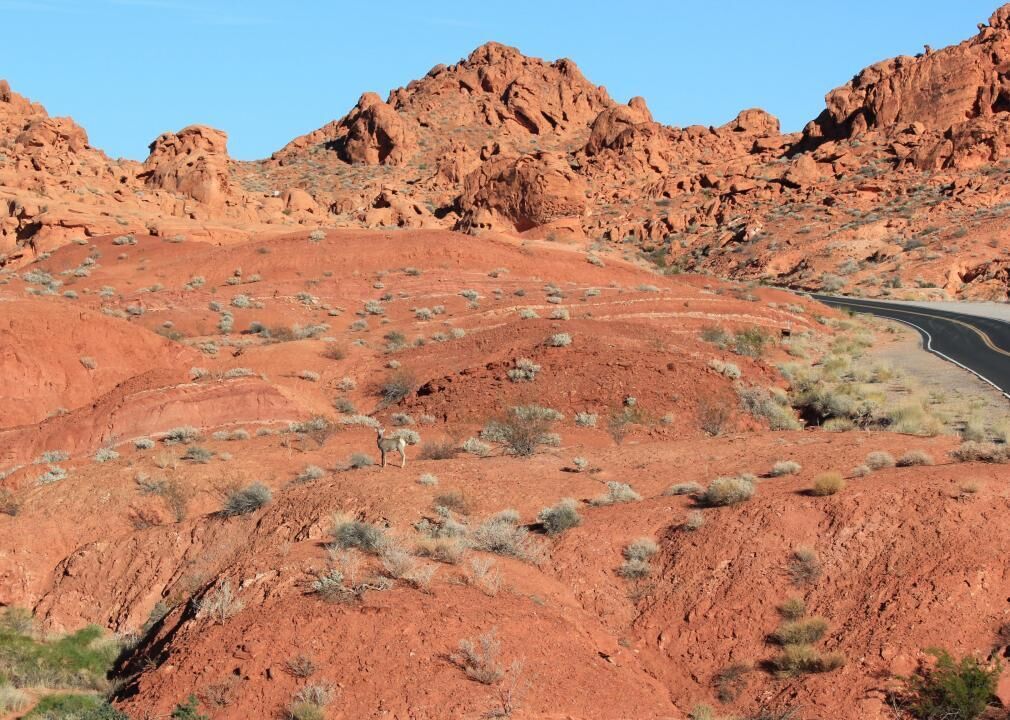 #6. Clark County, Nevada